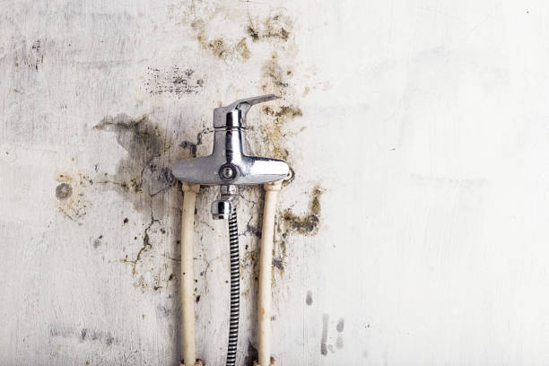 Best Water Damage Restoration  in Clyde Hill, WA